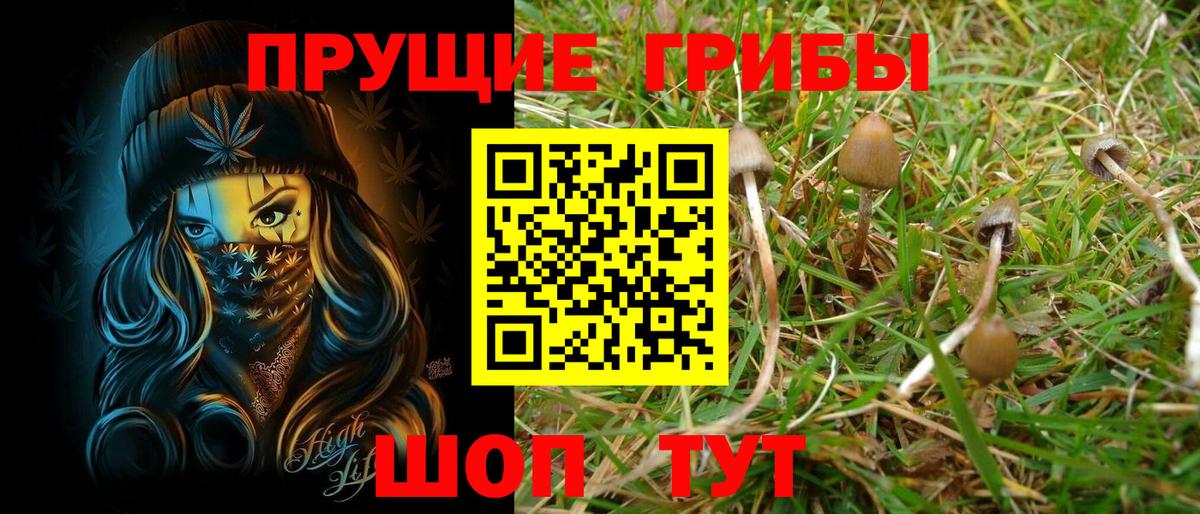 Псилоцибиновые грибы ЛСД  Галлюциногенные грибы Magic Shrooms  где можно купить   Ногинск  Вход с VPN 